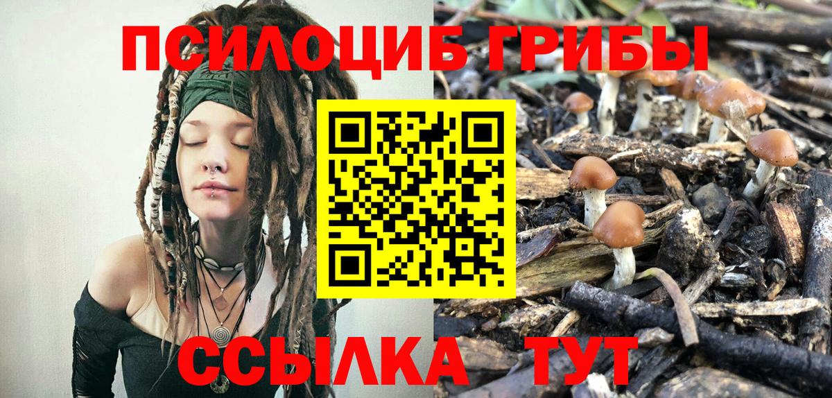 Псилоцибиновые грибы ЛСД  Галлюциногенные грибы мицелий  Егорьевск  Вход с VPN 